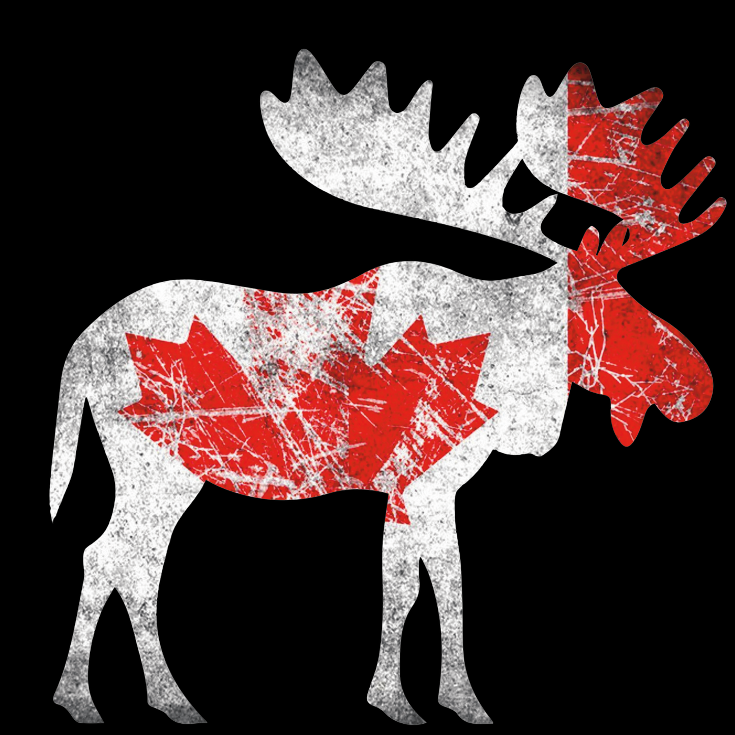 CANADA MOOSE