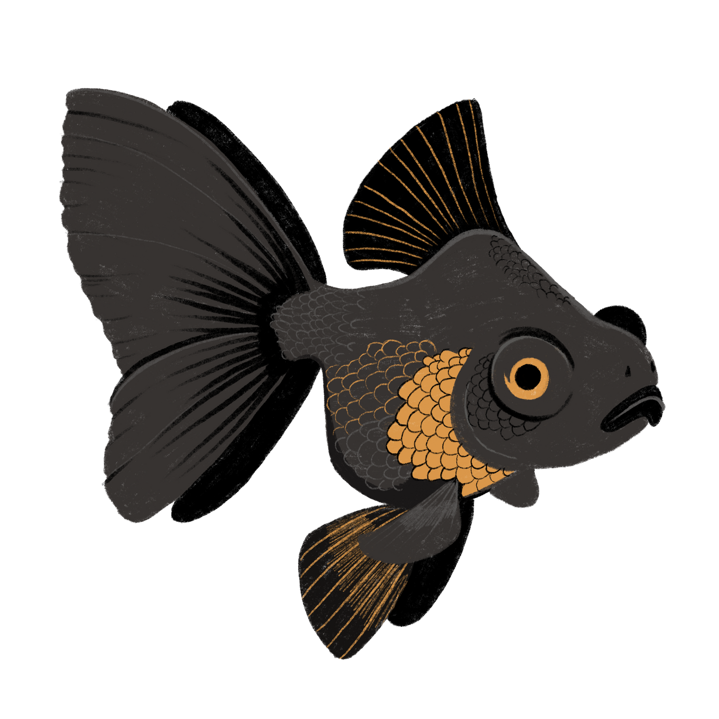 GOLDFISH - ART BY TAMMY LEE