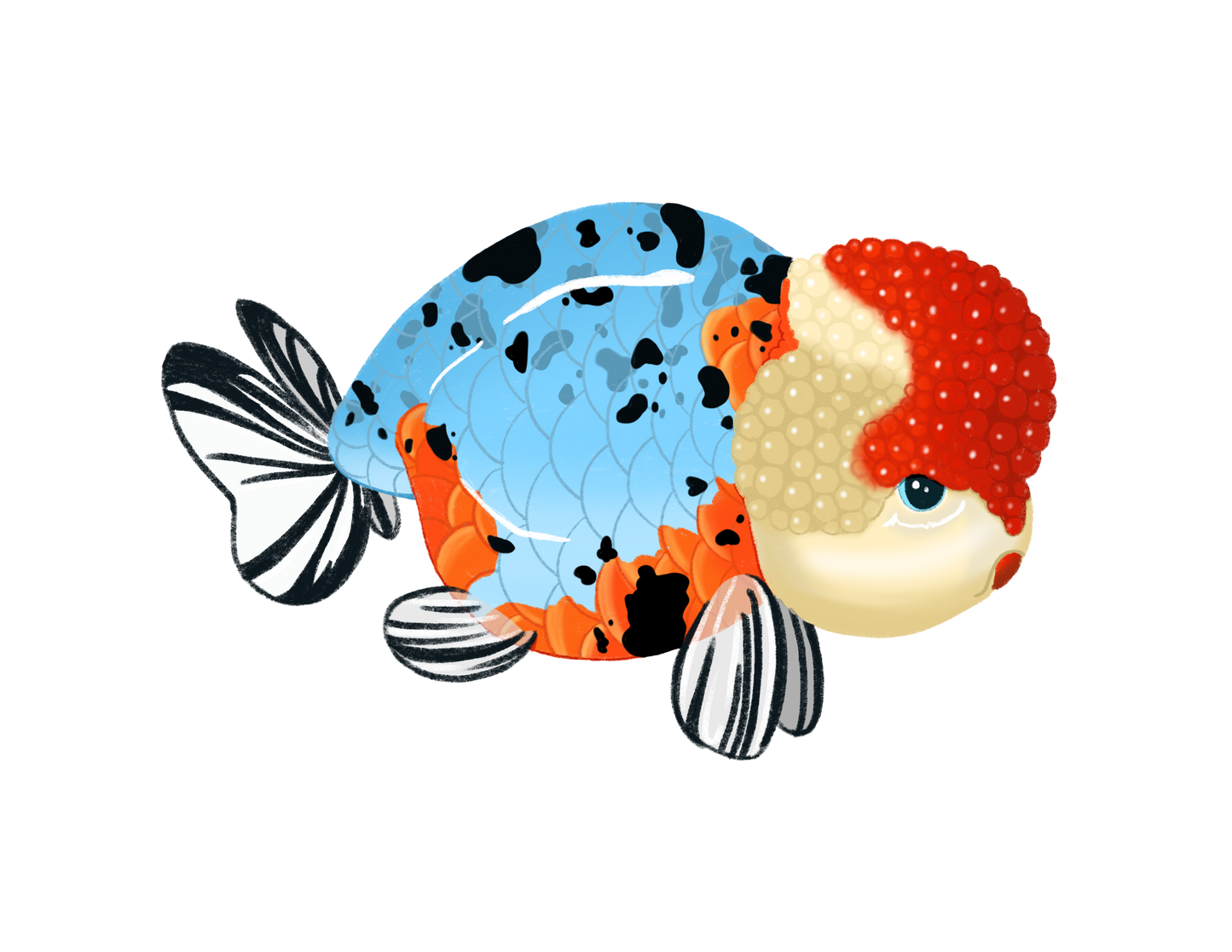 RANCHU GOLDFISH - ART BY TAMMY LEE