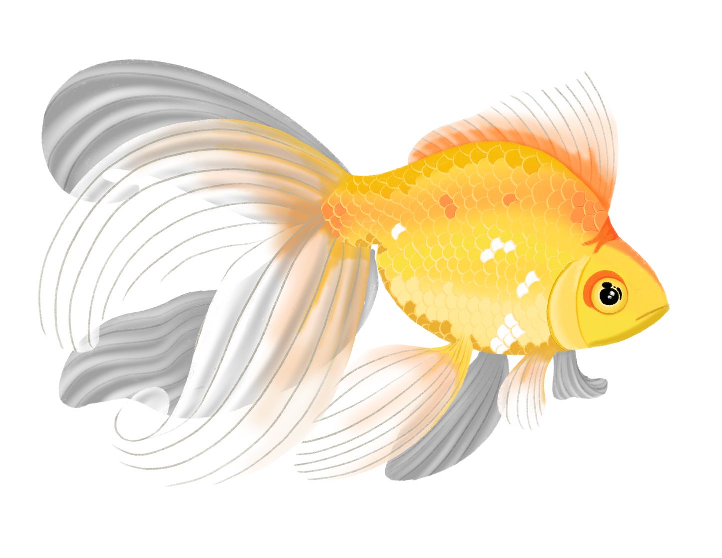 SUNSHINE GOLDFISH - ART BY TAMMY LEE