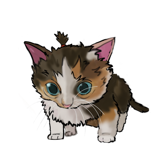 KITTY - ART BY COININ WHITE
