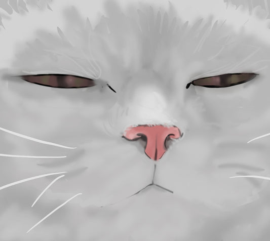 SASS - ART BY COININ WHITE