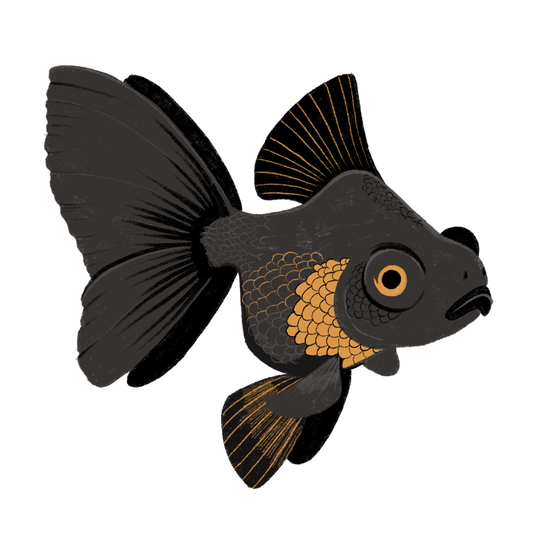 GOLDFISH - ART BY TAMMY LEE