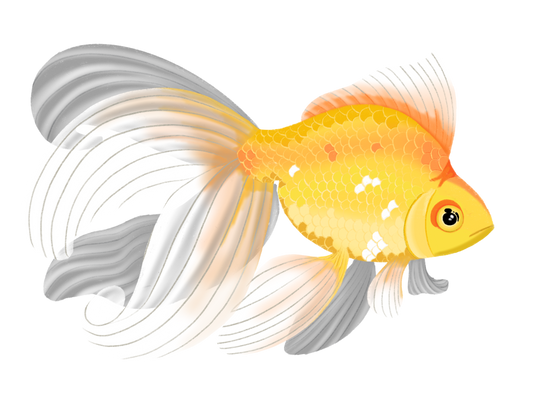 SUNSHINE GOLDFISH - ART BY TAMMY LEE